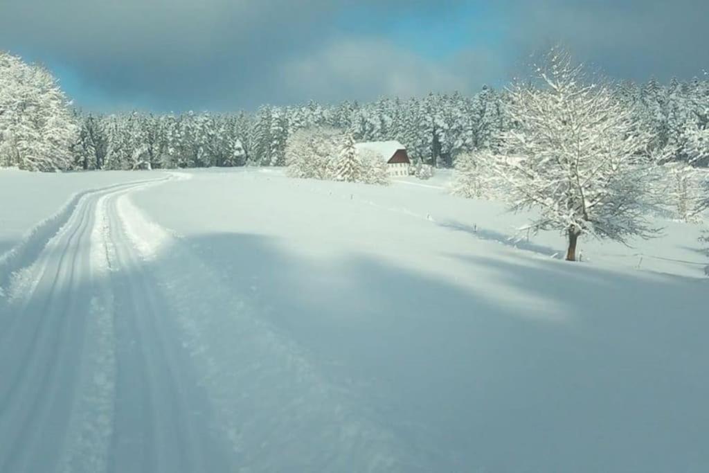 Ferienwohnung Im Schwarzwald Unterkirnach Extérieur photo